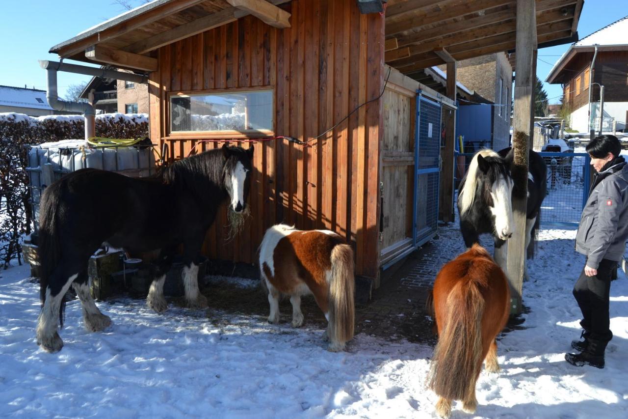 Апартаменти Ferien Bei Freunden Im Holzhaus Моншау Екстер'єр фото